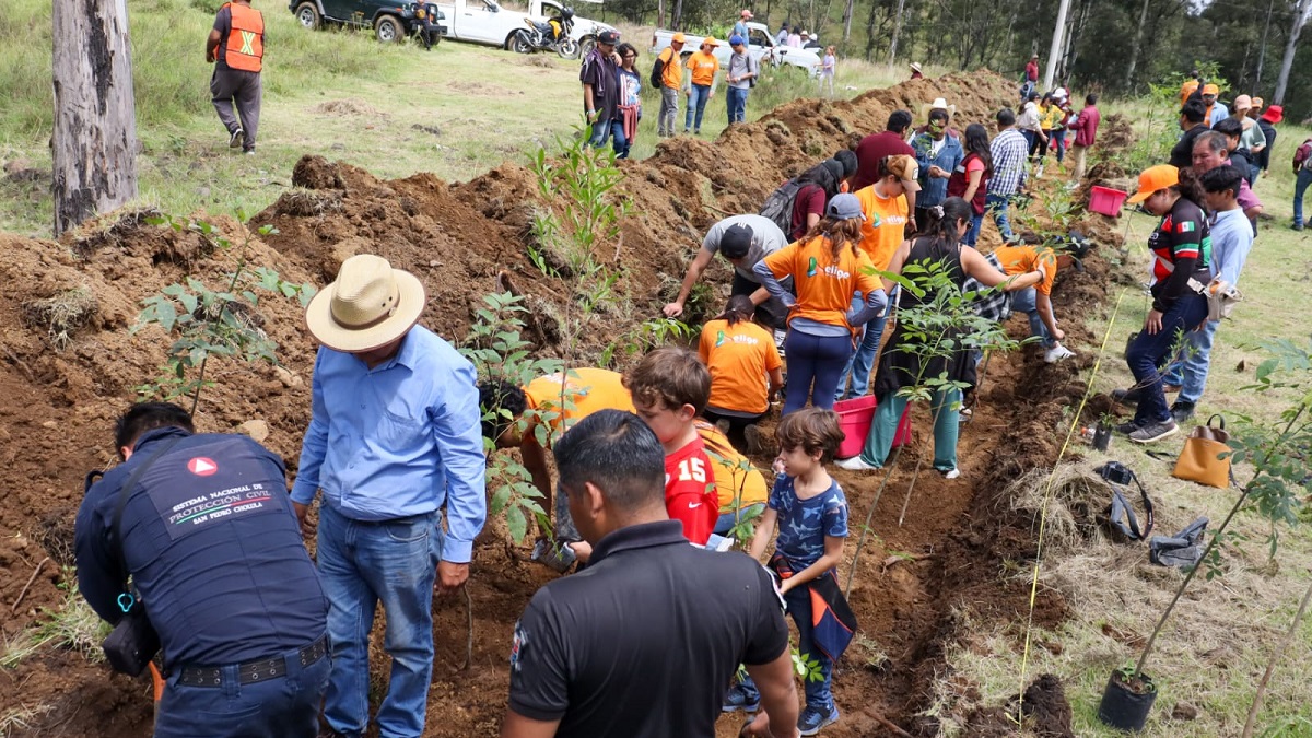Tonantzin Fernández impulsa acciones ambientales con la jornada “Raíces de Agua” en el Cerro Zapotecas
