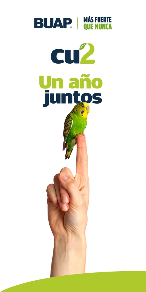 ¿Cómo llegar de CU a CU2 en trasporte público y cuánto tiempo me hago?