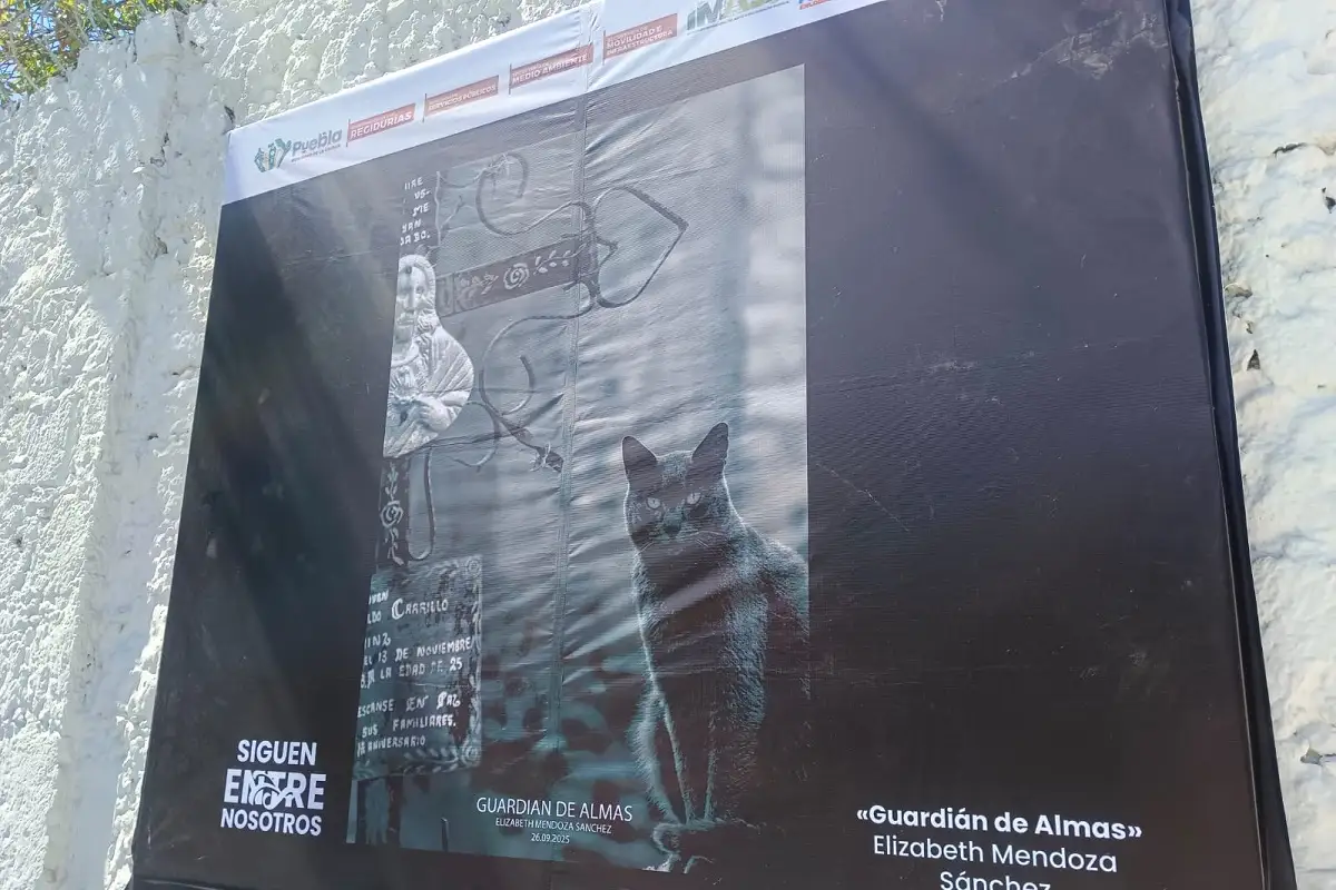 En honor a las especies silvestres que habitan en los panteones