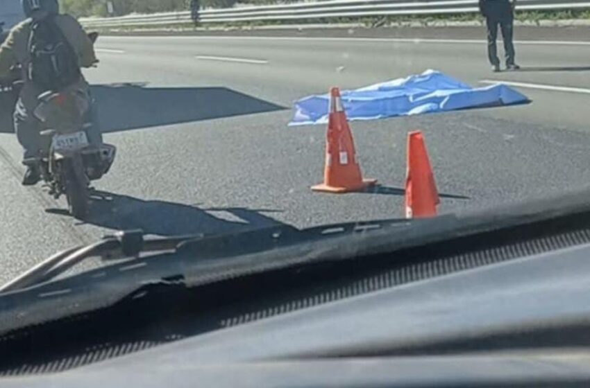  Hombre pierde la vida tras ser atropellado en la autopista México-Puebla a la altura de Xoxtla
