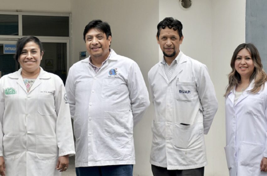  Inocrep BUAP solución biotecnológica para una agricultura sustentable