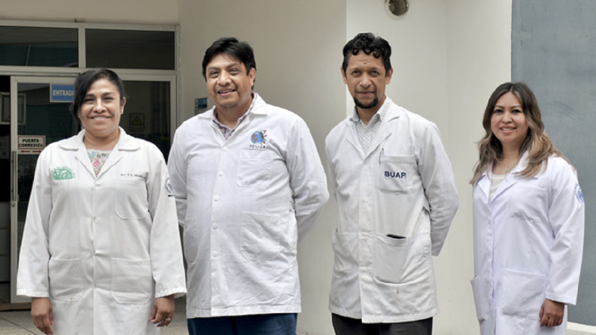 Inocrep BUAP solución biotecnológica para una agricultura sustentable