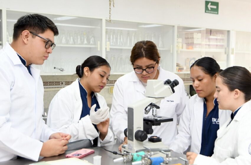 La Facultad de Enfermería BUAP tiene el mayor número de SNII en esta disciplina en la región centro-sur del país