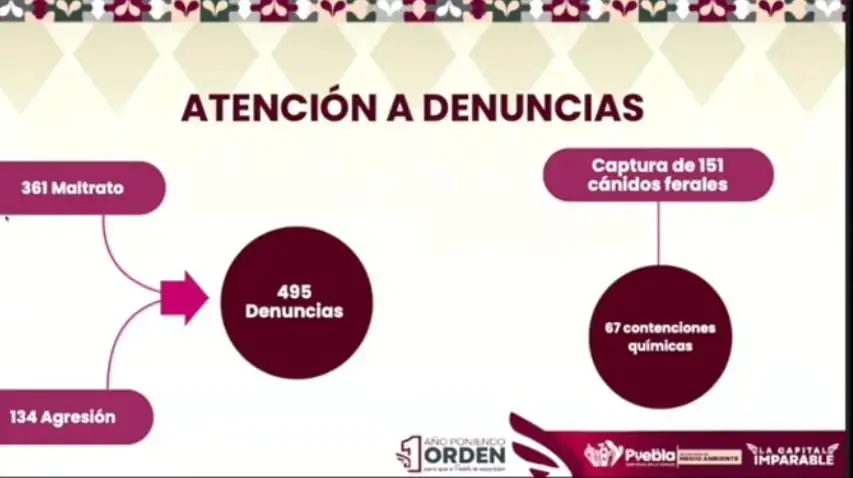 Medio Ambiente recibió 495 denuncias por maltrato animal en el municipio de Puebla