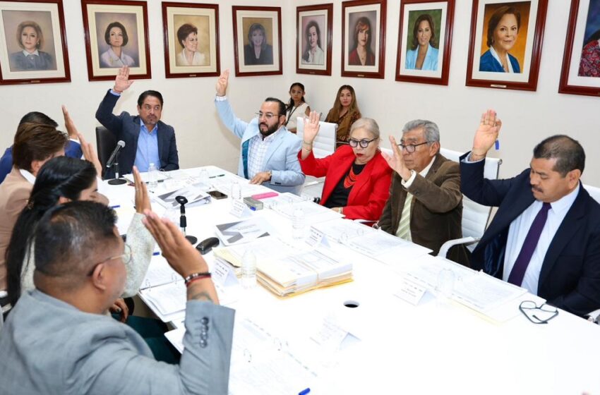  SEDIF realiza Tercer Consejo Técnico de Adopciones 2025
