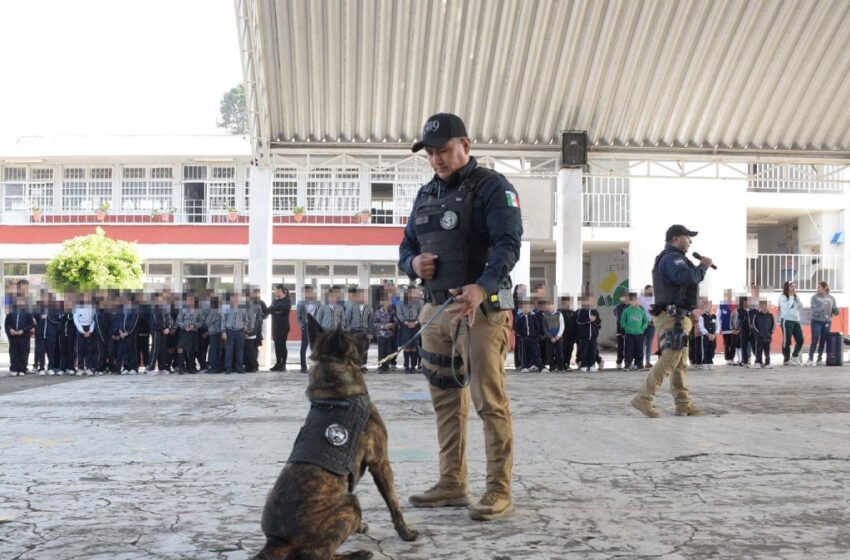  SSC mantiene proximidad y refuerza la seguridad en la BUAP
