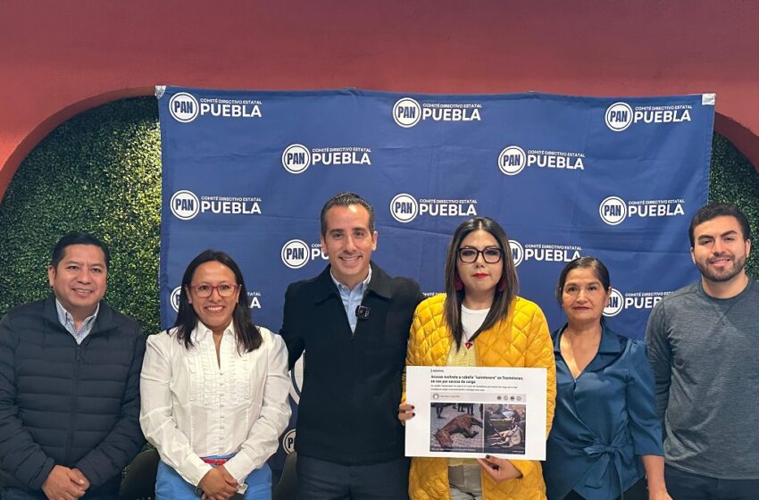  San Martín Texmelucan se desmorona: Inseguridad, nepotismo y crueldad animal exponen la incapacidad del alcalde