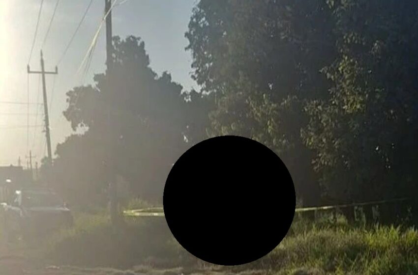  ¡Impactante Hallazgo! Encuentran a una Mujer Sin Vida Cerca de la Carretera a Oaxaca en Izúcar de Matamoros