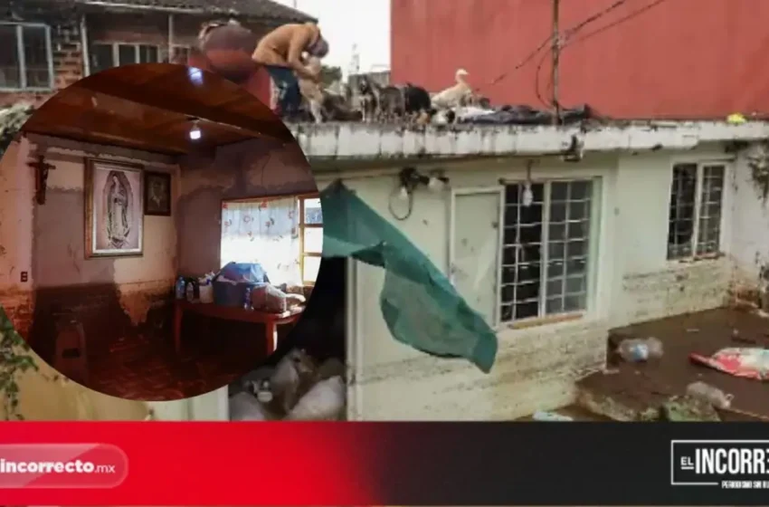  Reubicarán 850 viviendas en la Sierra Norte de Puebla que resultaron dañadas