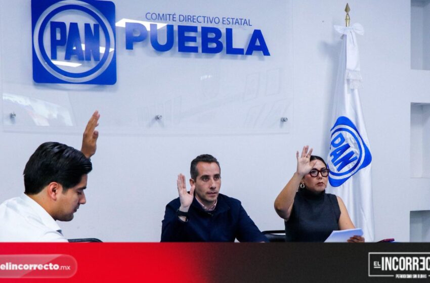  Emite PAN nueva convocatoria para el Comité Municipal exclusiva para mujeres