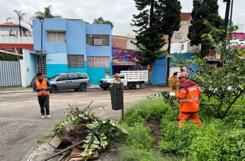  Refuerza Gobierno de la Ciudad programa “Limpiando bien y a la primera