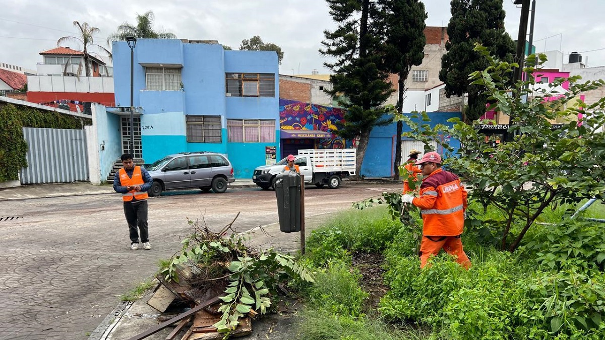 Refuerza Gobierno de la Ciudad programa “Limpiando bien y a la primera