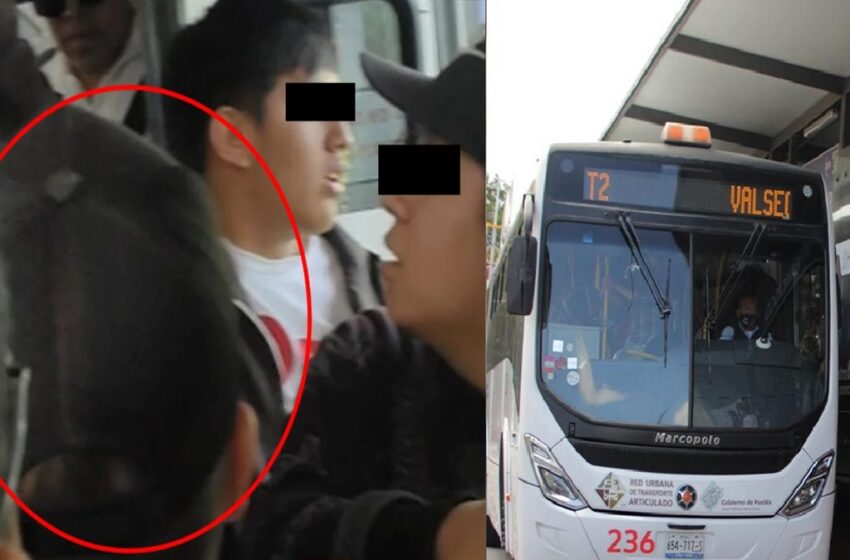  Usuarios enfrentan a banda de rateros en el RUTA 3 y obligan a devolver un celular robado