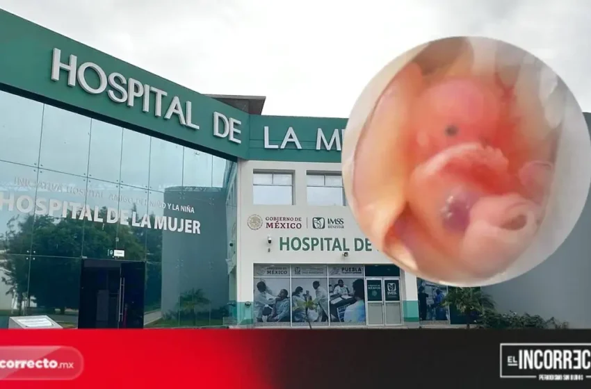  En 2025, se practicaron 427 abortos en Puebla 