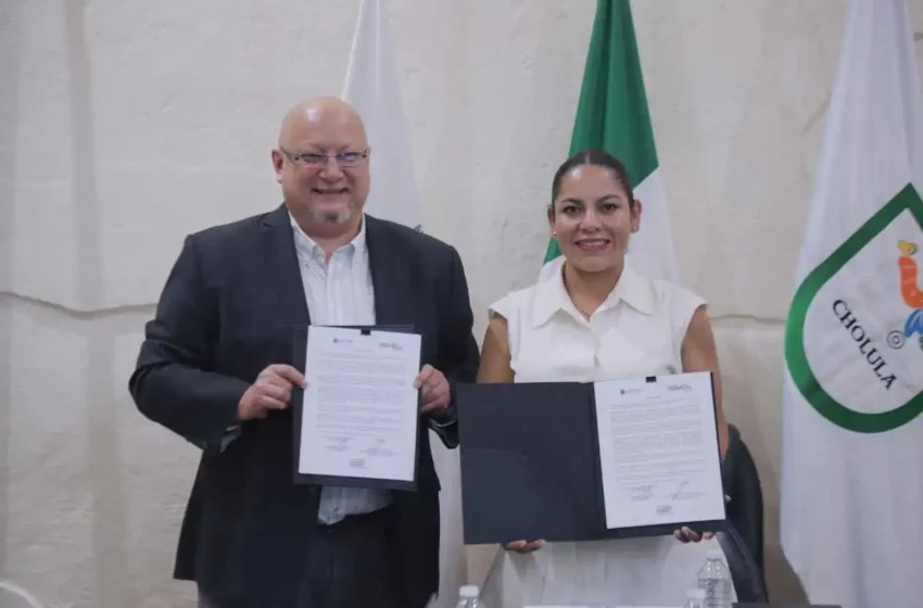  Fortalece San Andrés Cholula cooperación con la OCDE para impulsar la simplificación y digitalización de trámites