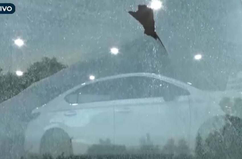  Intento de robo en agencia Honda Atlixcáyotl deja vidrios destrozados
