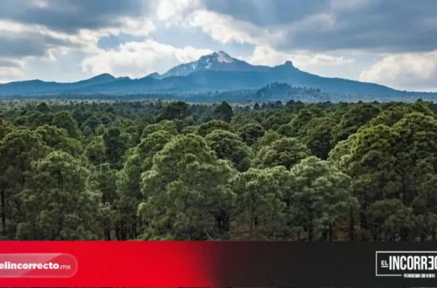  Federación inyectará recursos al Ecoparque de La Malinche; destinan 10 mdp al proyecto ambiental