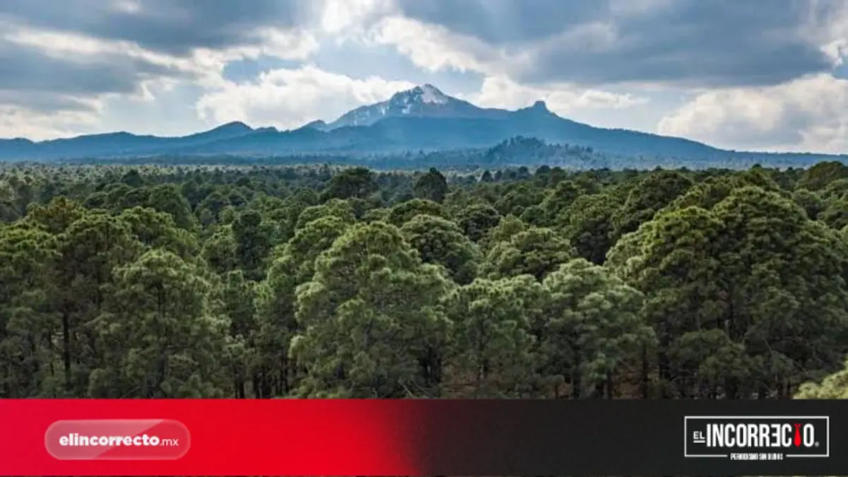 Federación inyectará recursos al Ecoparque de La Malinche; destinan 10 mdp al proyecto ambiental
