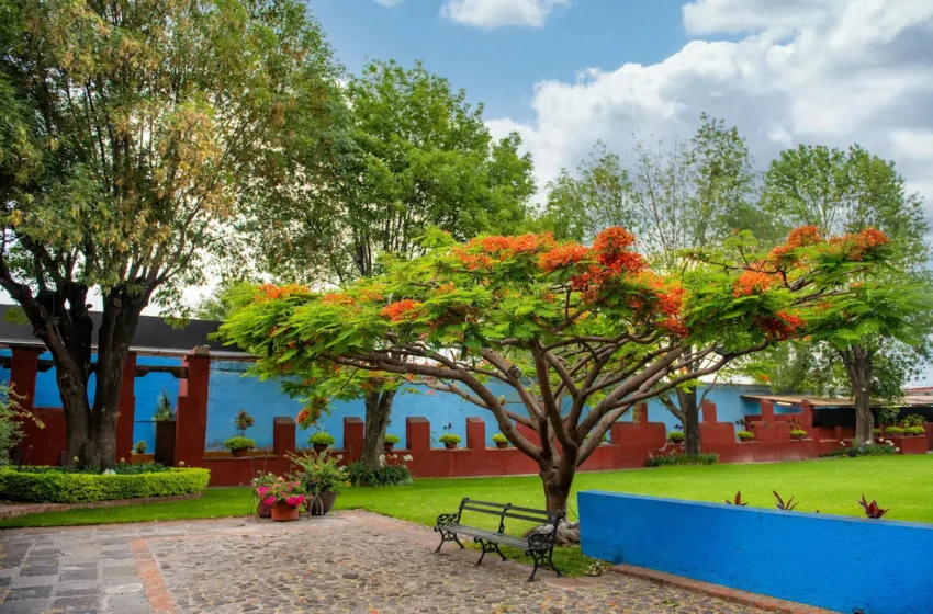  Atlixco y sus paisajes, presentes en la nueva serie “Mal de amores”