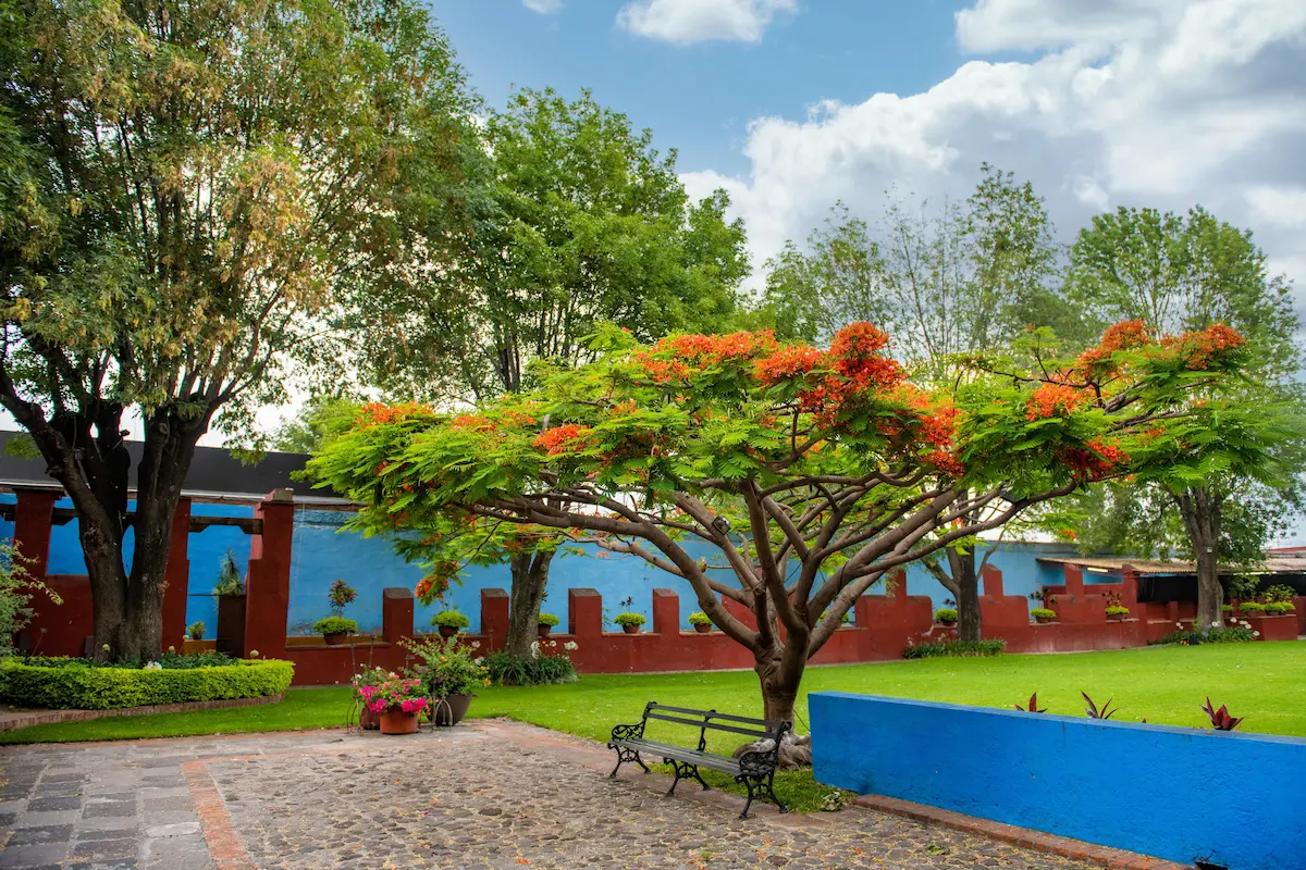 Atlixco y sus paisajes, presentes en la nueva serie “Mal de amores”