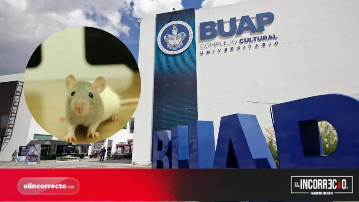 BUAP no utiliza ratones para pruebas de laboratorio