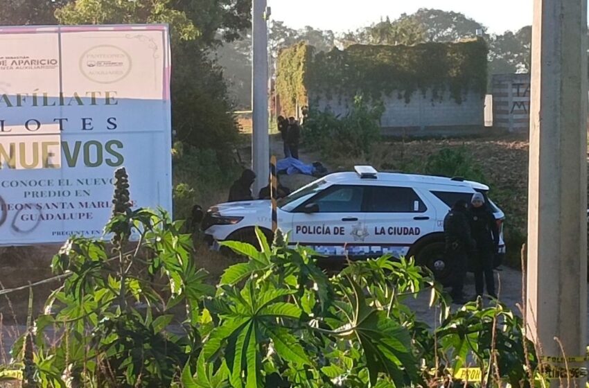  Terror en Puebla: descubren dos cuerpos embolsados en San Sebastián de Aparicio, Puebla