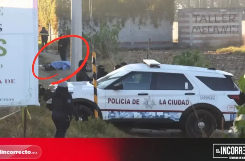  Revela SSP que cuerpos embolsados en Aparicio, tenían reporte de desaparecidos