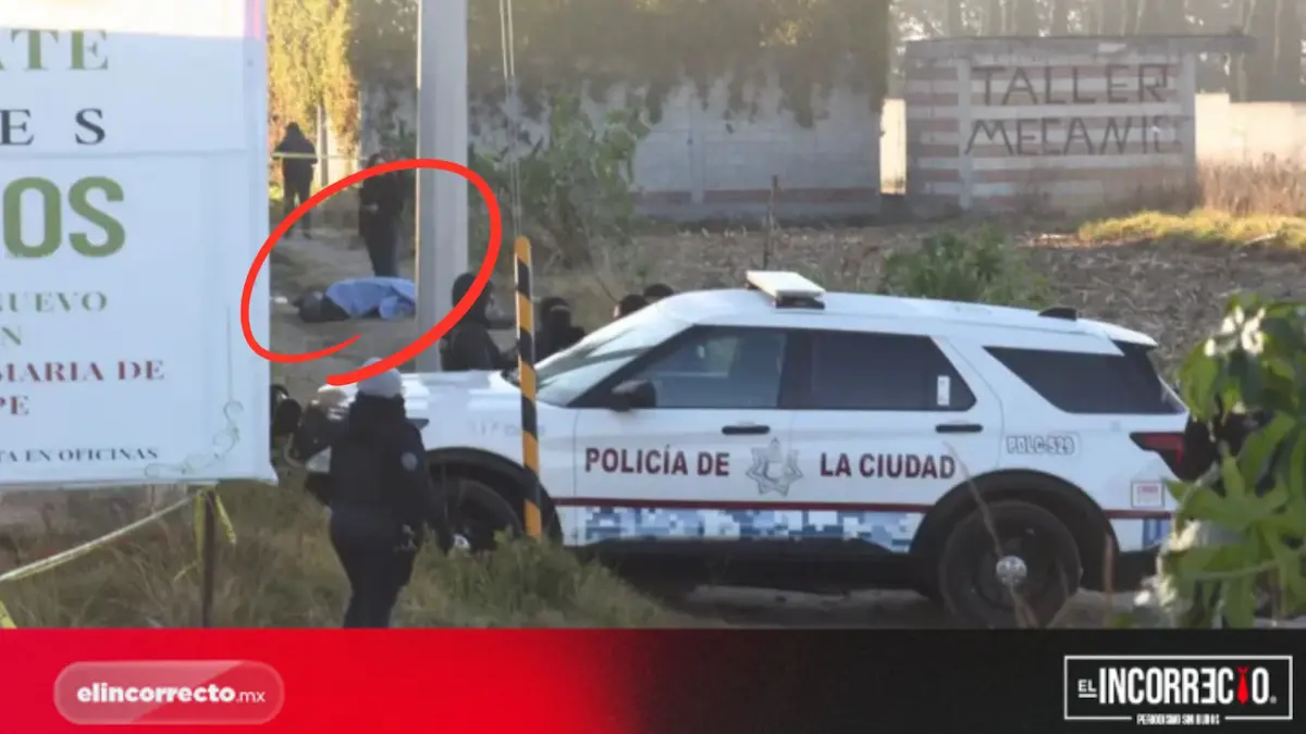 Revela SSP que cuerpos embolsados en Aparicio, tenían reporte de desaparecidos