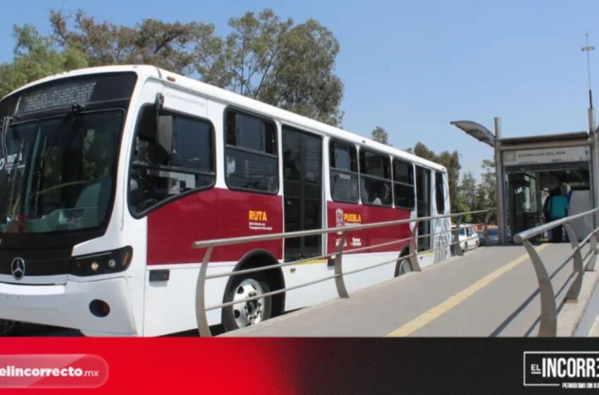  Subsidio de RUTA en 2025 fue de casi mil millones de pesos