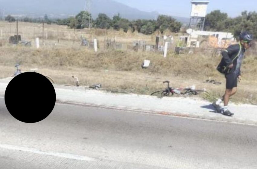  Tractocamión atropella a ciclista y escapa en la autopista Puebla-Orizaba