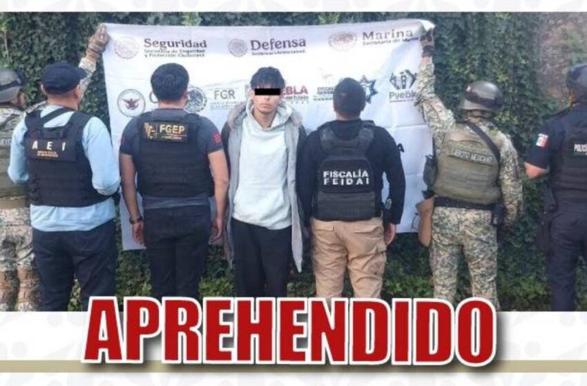  Detienen a “El Ratón”, ligado a homicidio en taquería de Amozoc e integrante de Familia Michoacana