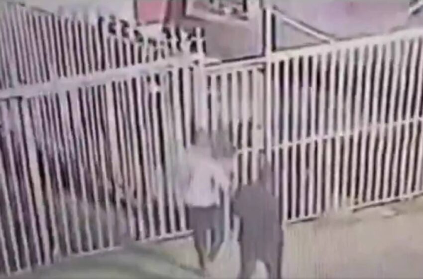  Engaño a domicilio en Puebla: falsos repartidores de flores irrumpen en una casa y agreden a dos mujeres (+VIDEO)