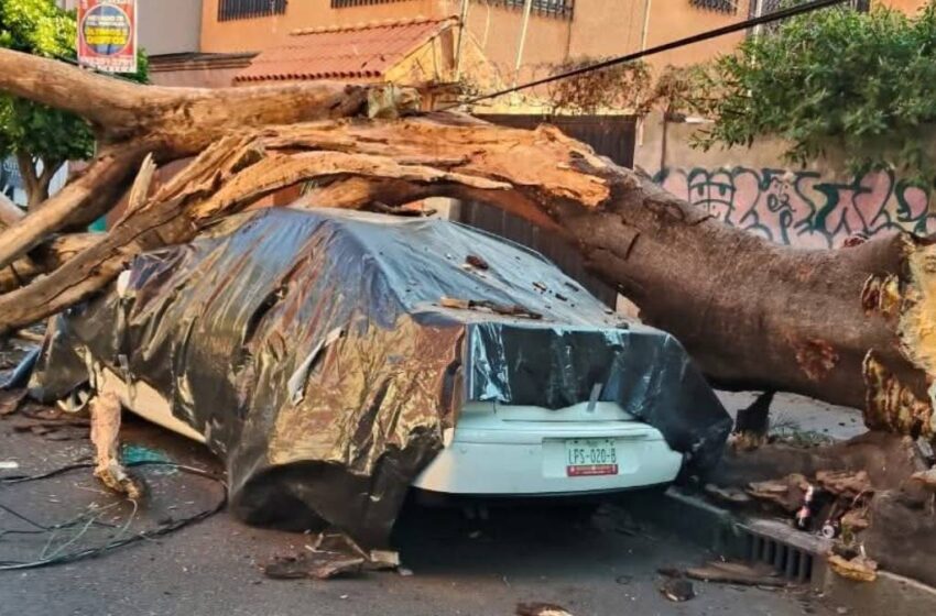  Evacuación por sismo deja una víctima fatal en la CDMX