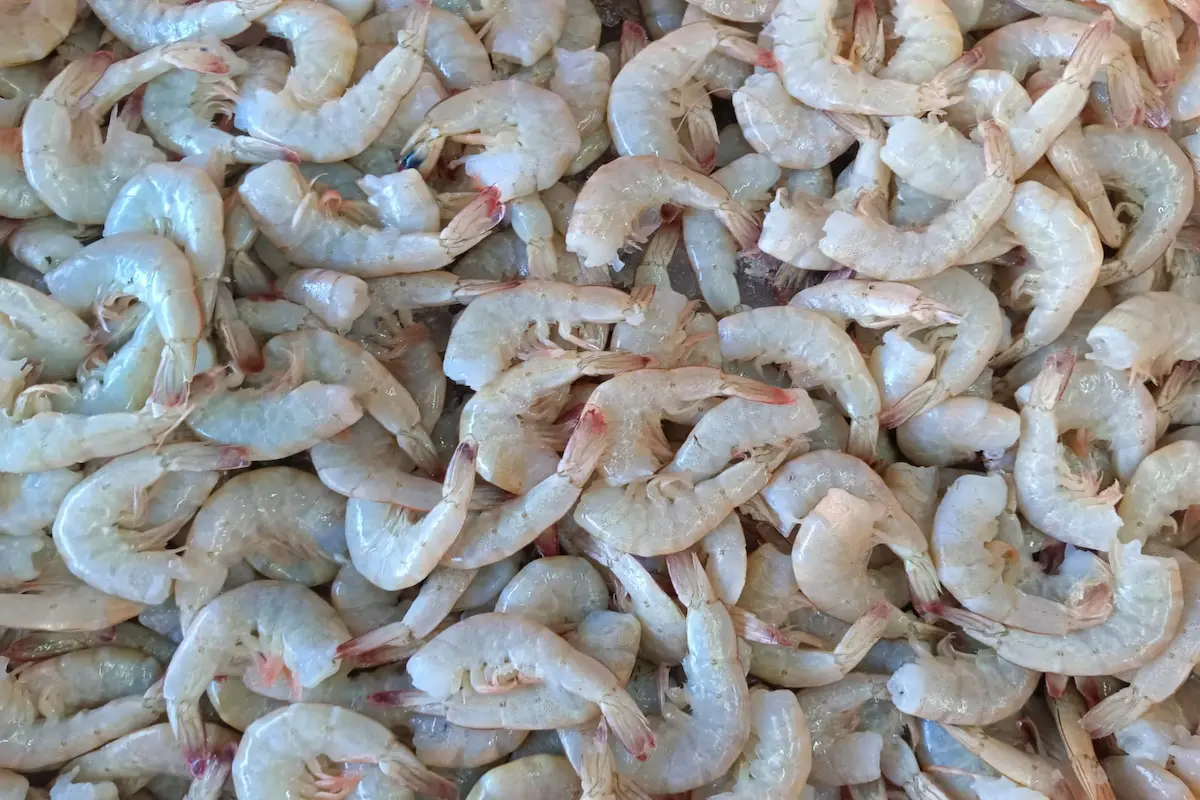 Arranca la cuaresma y venta de pescados y mariscos en Puebla; estiman ganancias del 90%