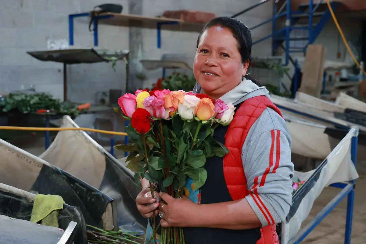 Chiautzingo principal productor de rosas; Puebla segundo lugar nacional
