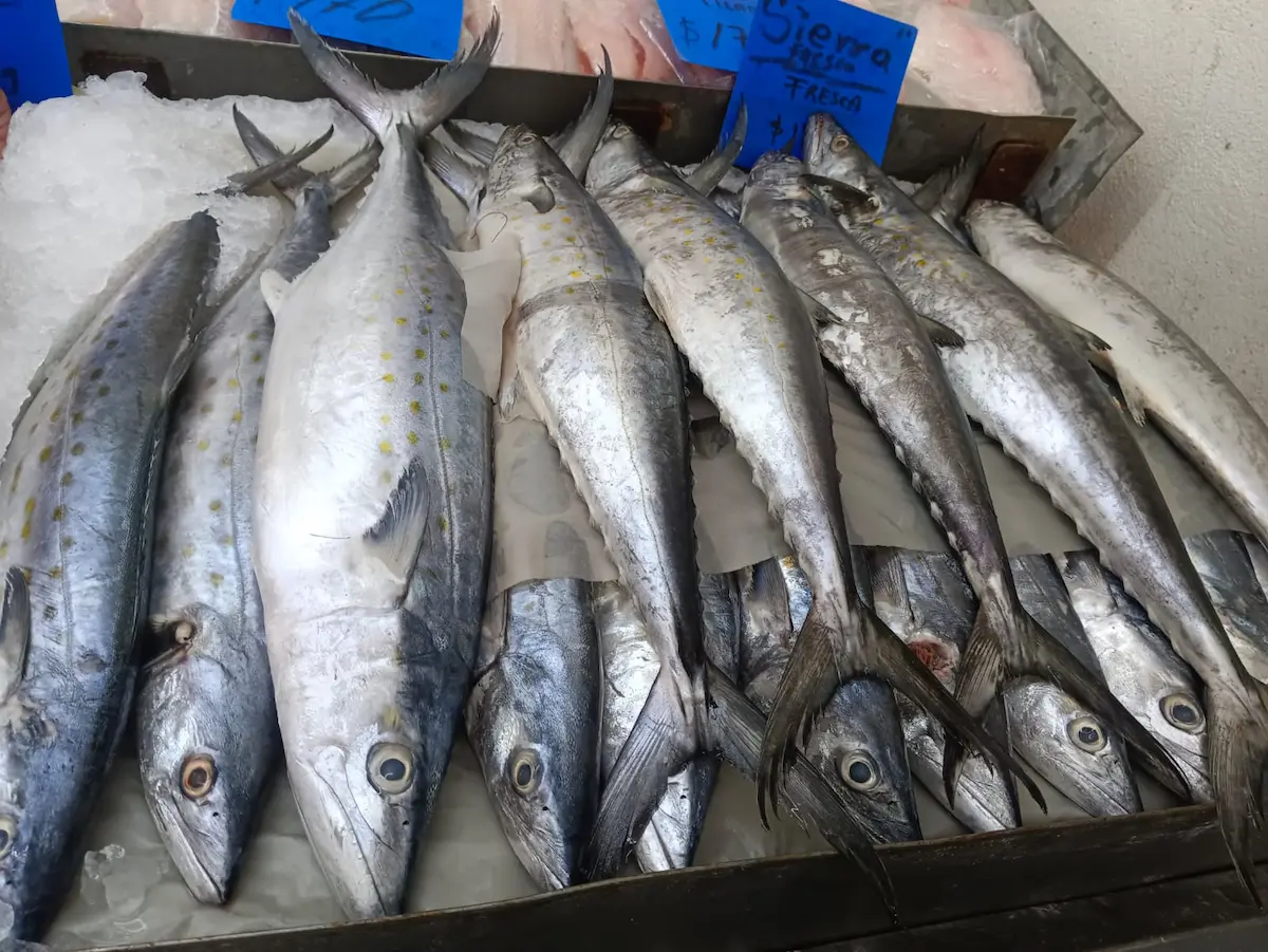 Cuaresma: Arranca la venta de pescados y mariscos; estiman ganancias del 90%