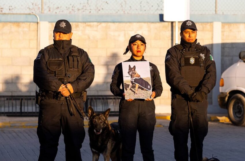  En Ceremonia Lupita Cuautle retira ejemplares de la Policía Montada y Unidad Canina