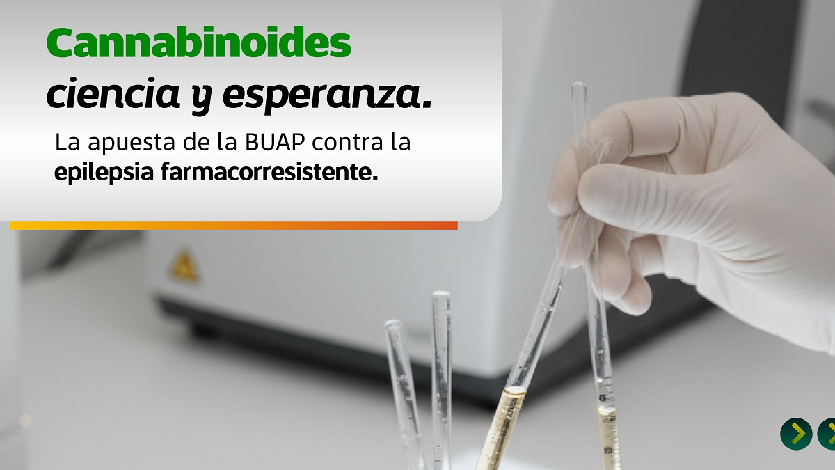 Estudian en la BUAP cannabinoides para tratamiento de epilepsia