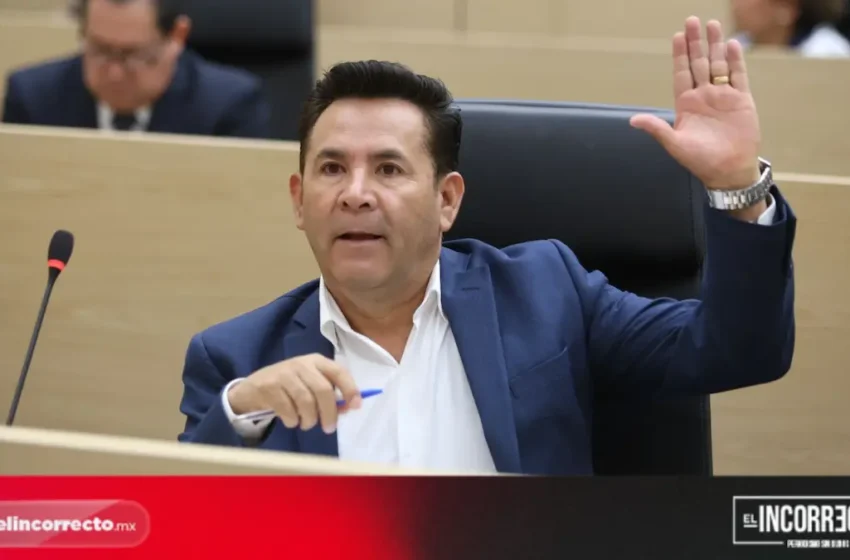  Morena propone frenar candidaturas de personas sancionadas por maltrato animal en Puebla