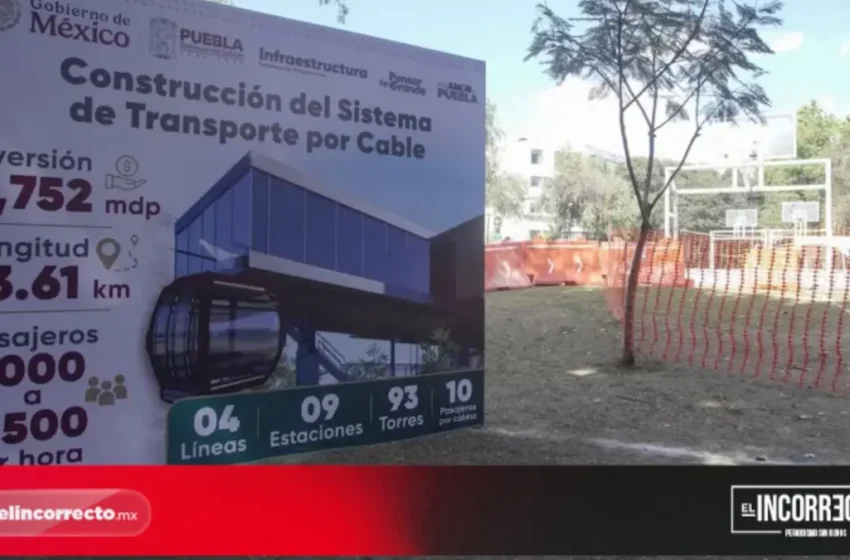  Para la construcción del Cablebús de Puebla, trasplantarán 280 árboles