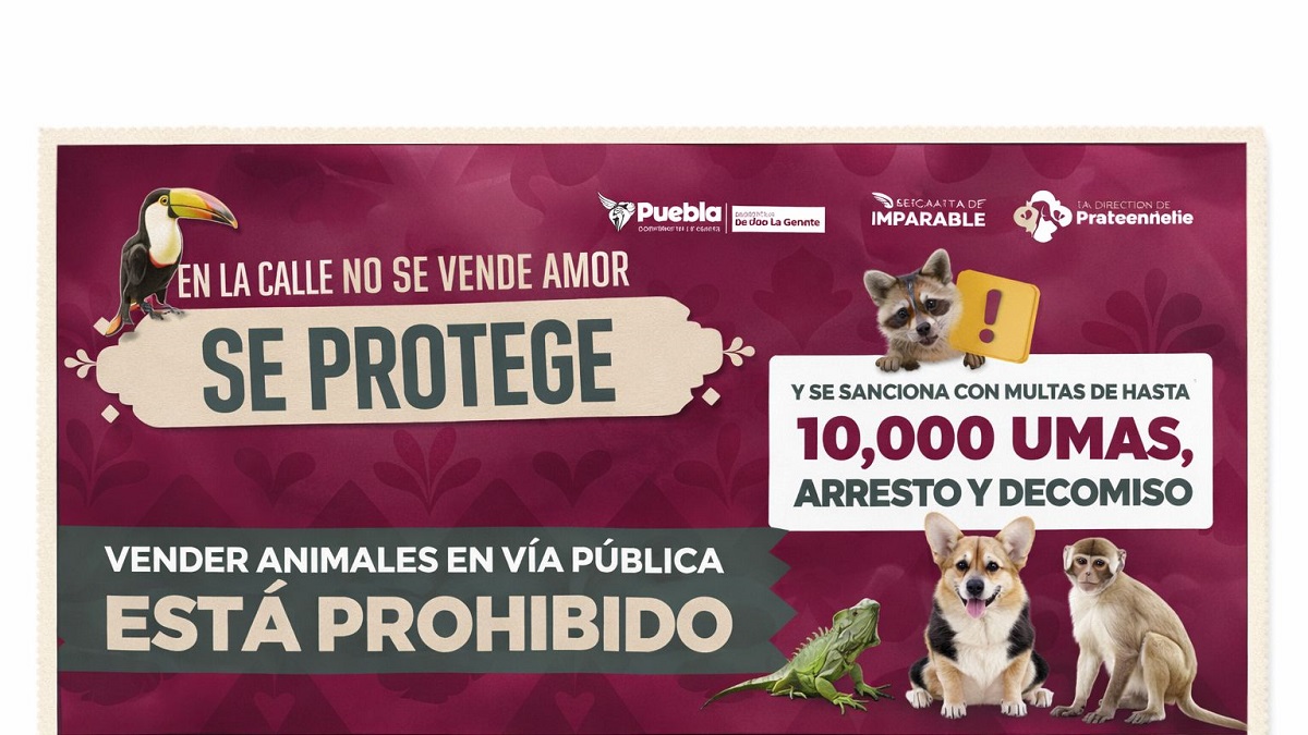 Se refuerzan acciones para regular venta de animales en vía pública por instrucciones de Pepe Chedraui