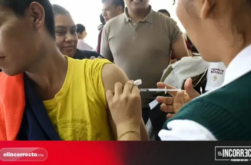  Salud encabeza jornada de vacunación contra el sarampión en el Mercado Hidalgo (+FOTOS)