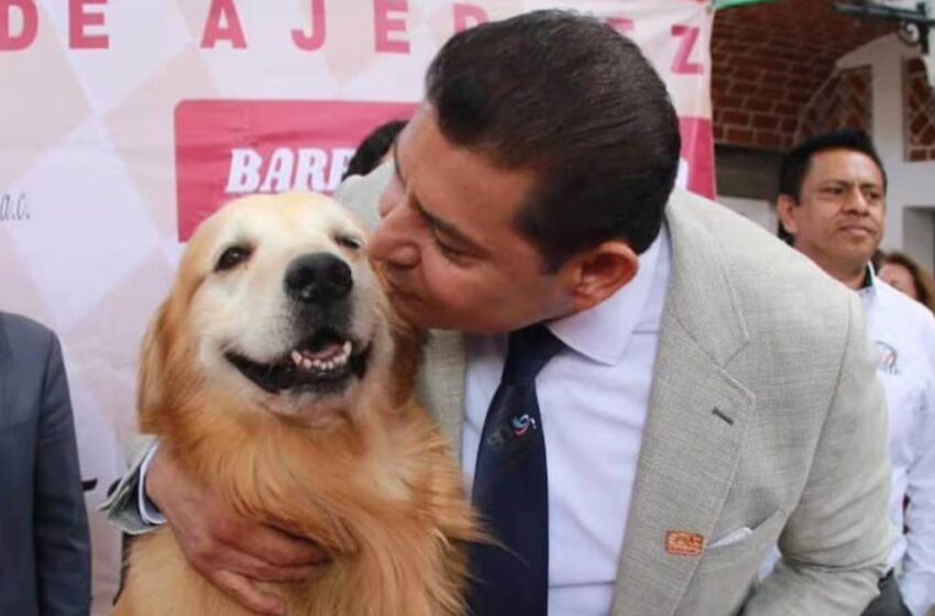  Emotivo mensaje: gobernador Alejandro Armenta se despide de su fiel compañero Tommy