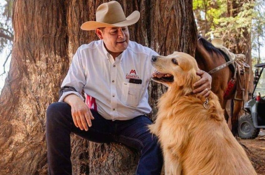  Muere Tommy, el perrito del gobernador Alejandro Armenta, tras dura batalla contra tumores en el hígado