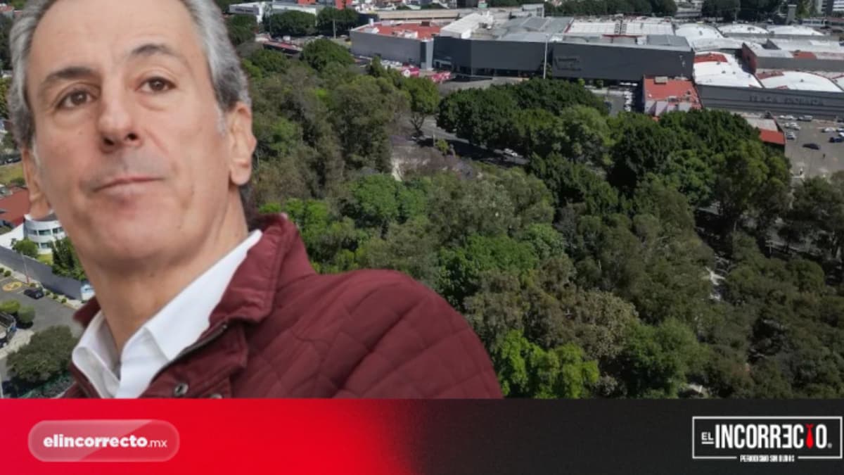 Cabildo de Puebla tendrá que avalar trasplante de árboles para el proyecto del Cablebús