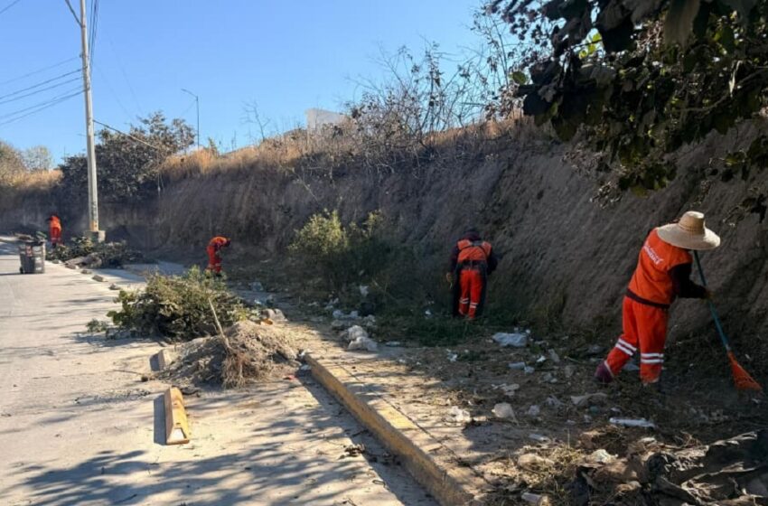  Gobierno de Pepe Chedraui fortalece la imagen urbana con intervención en Bulevar Carmelitas