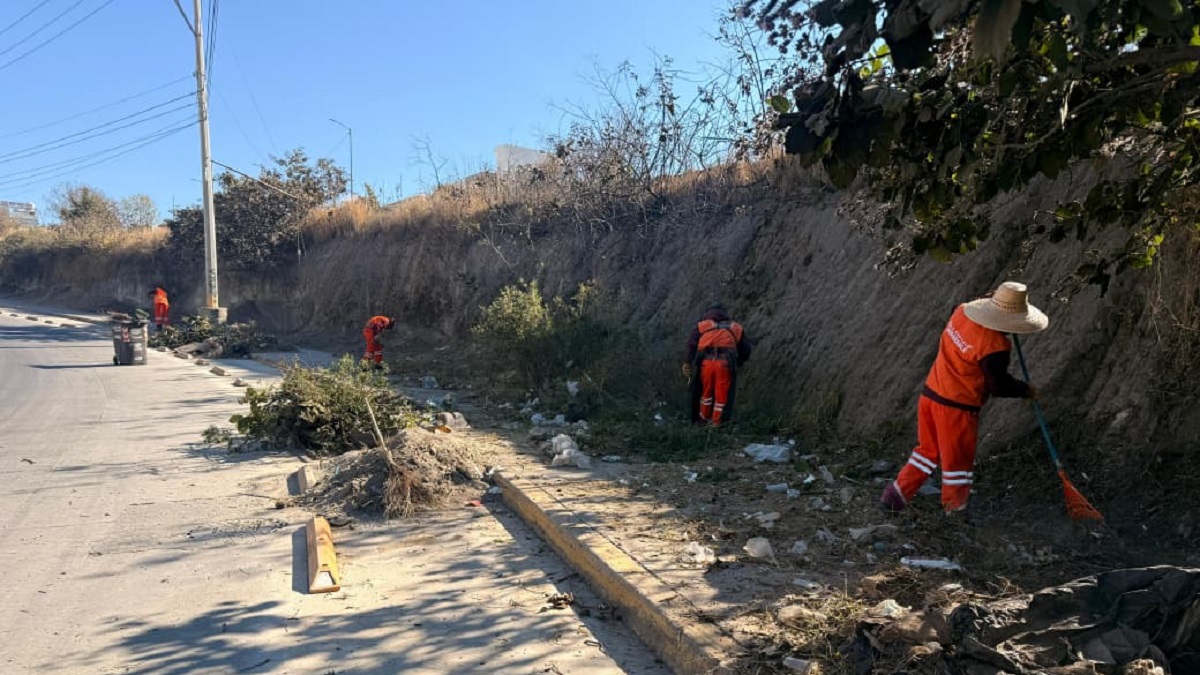 Gobierno de Pepe Chedraui fortalece la imagen urbana con intervención en Bulevar Carmelitas
