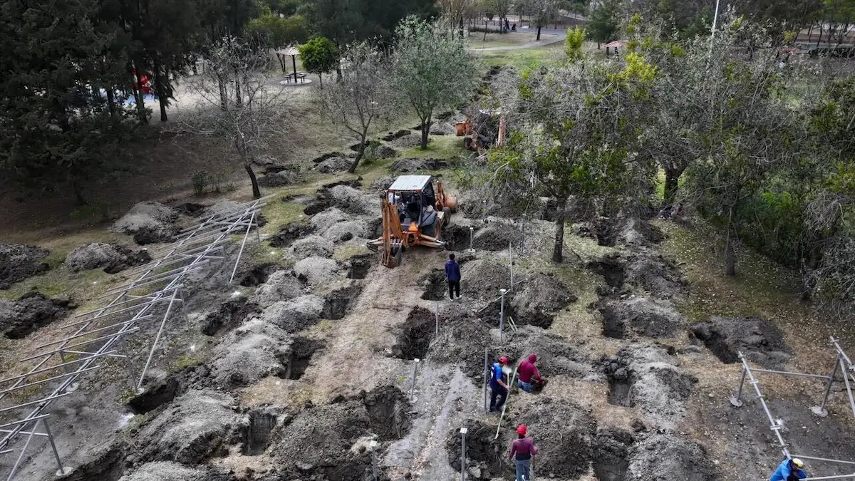 Gobierno inicia reforestación de 10 mil árboles en Puebla: aquí serán plantados