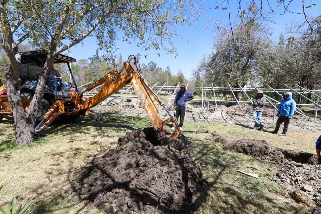 Gobierno inicia reforestación de 10 mil árboles en Puebla: aquí serán plantados