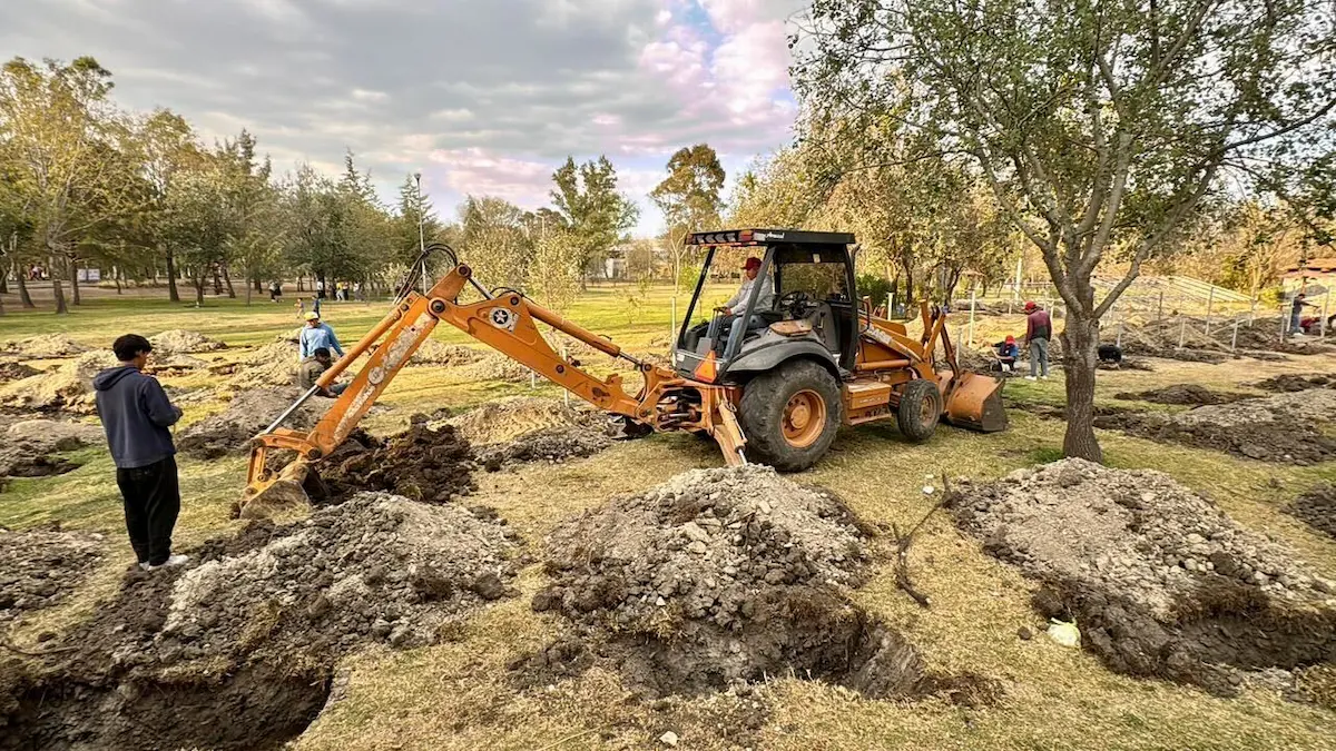 Gobierno inicia reforestación de 10 mil árboles en Puebla: aquí serán plantados